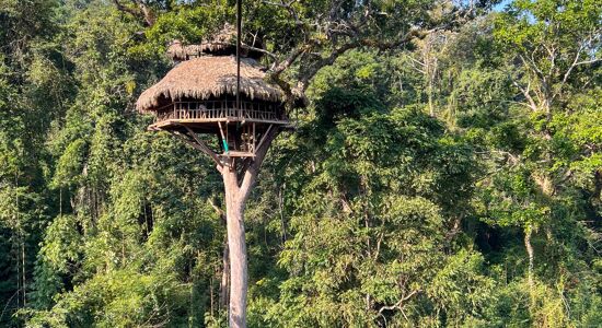 Northern Laos Discovery Tour 5-Day